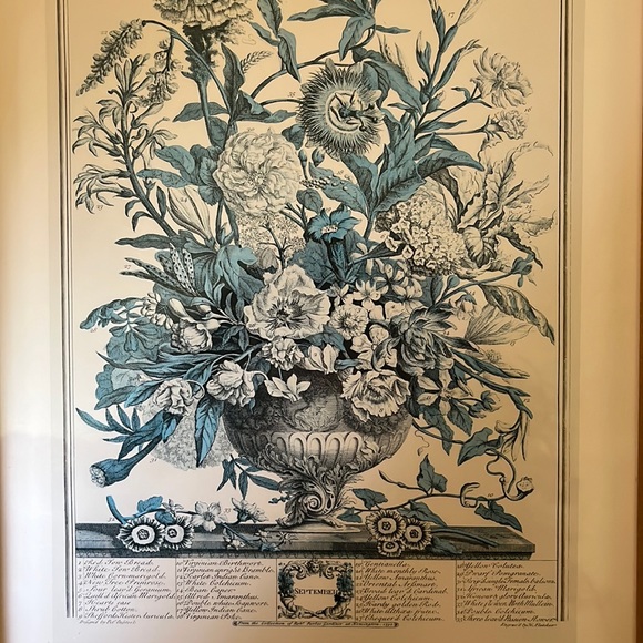 Vtg SEPTEMBER from Twelve Months of Flowers by Robert Furber (C.1674-1756)CANADA - Picture 5 of 15
